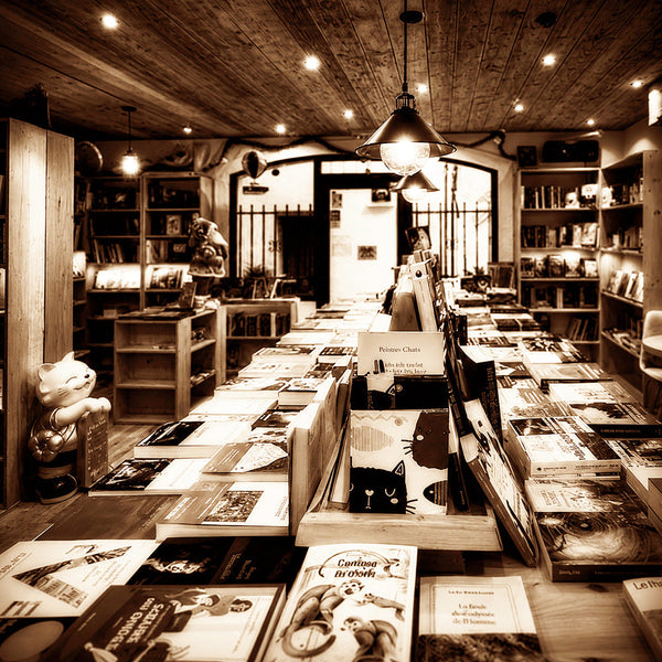 Table des nouveautés à la librairie Le Chat-Mots