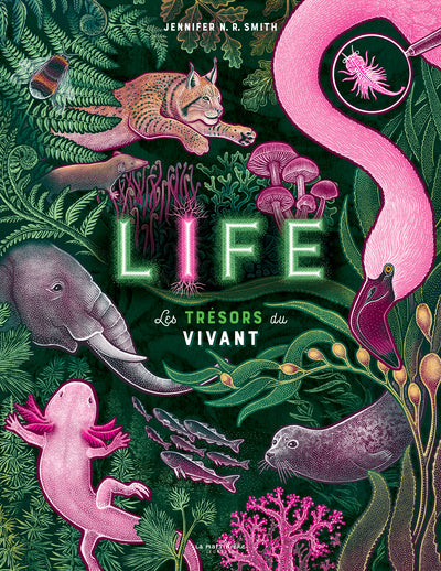 LIFE