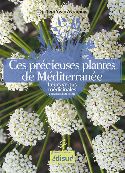 Ces précieuses plantes de Méditerranée - leurs vertus médicinales à la lumière de la science
