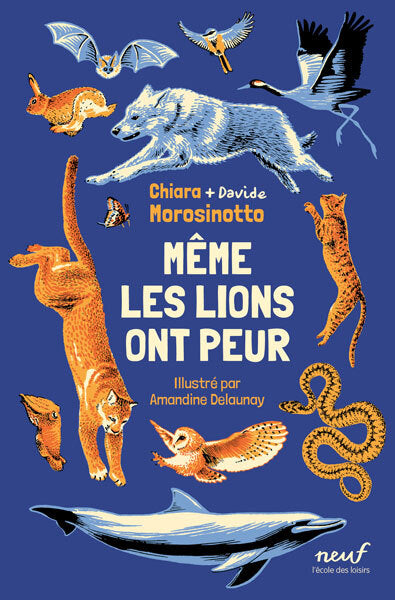 Même les lions ont peur