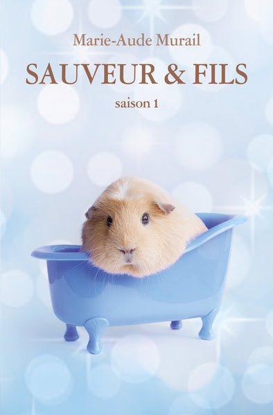 Sauveur & fils - Saison 1