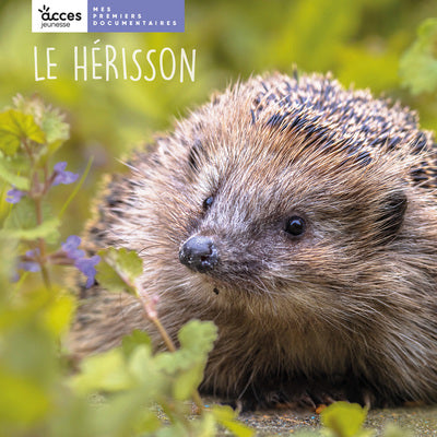 LE HÉRISSON