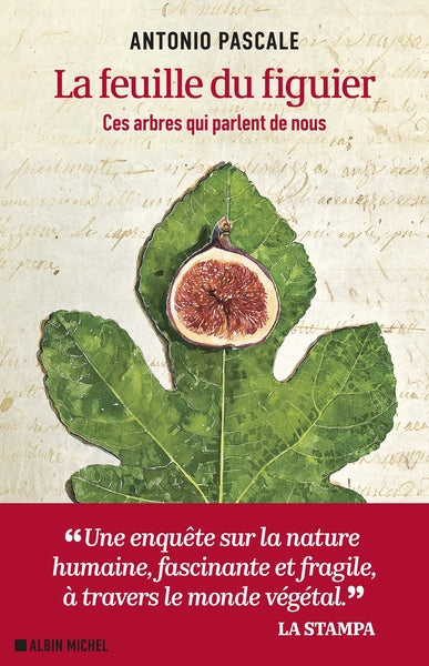 La Feuille du figuier