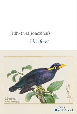 Une forêt