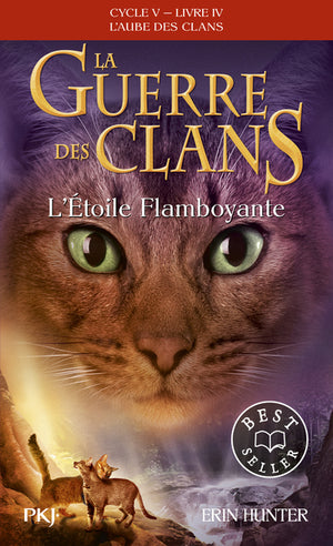 La guerre des clans - Cycle V : L'aube des clans - Tome 4 L'Etoile flamboyante