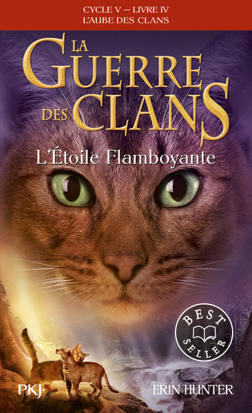 La guerre des clans - Cycle V : L'aube des clans - Tome 4 L'Etoile flamboyante