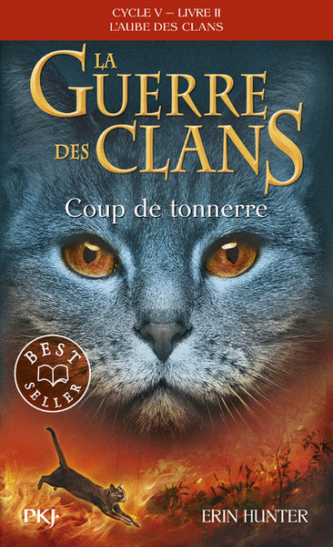 La guerre des clans - Cycle V : L'aube des clans - Tome 2 Coup de tonnerre